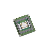 SBT-70-B-F75-KG301��ͼƬ
